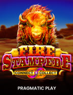 รีวิว เว็บ พนัน บอล ดี ที่สุด ที่ไม่ควรพลาด